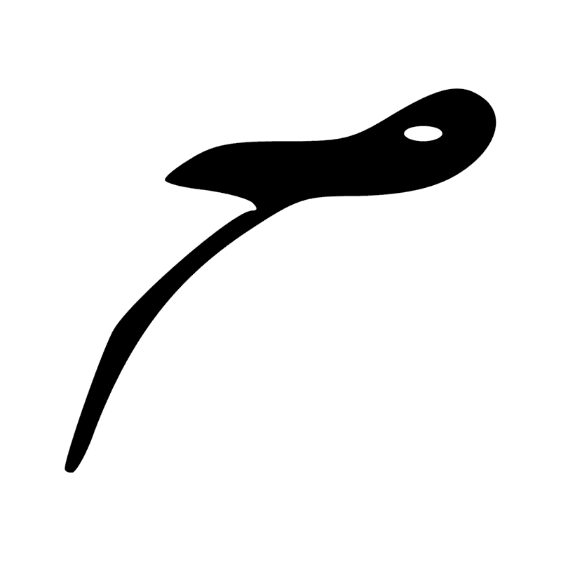 V22 — Fouet