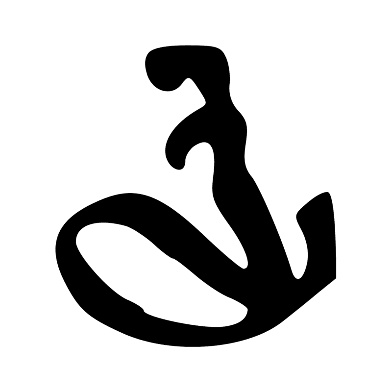T24 — Filet de pêche