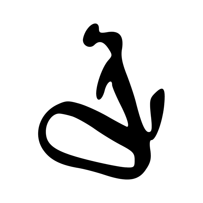 T24 — Filet de pêche