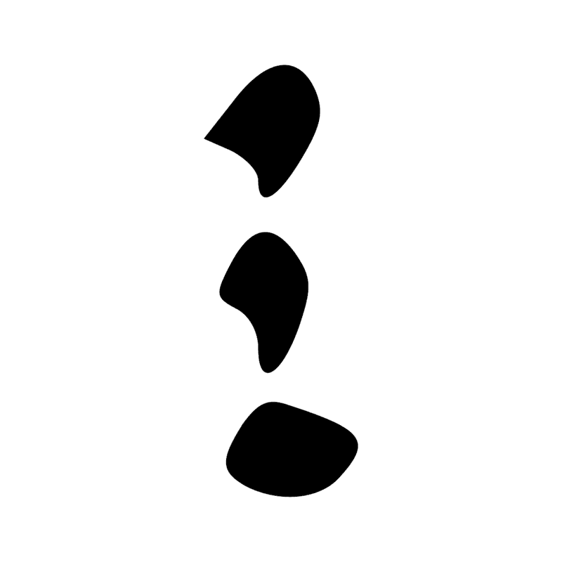 Signe n° 4298