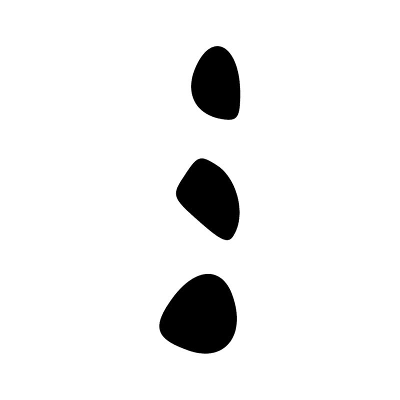 Signe n° 4302