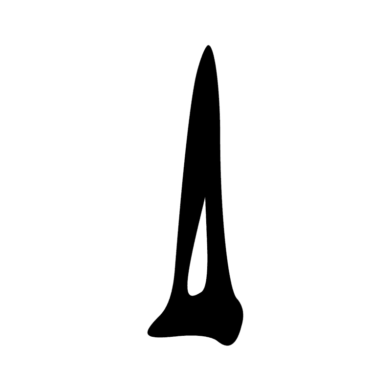 X8 — Pain conique