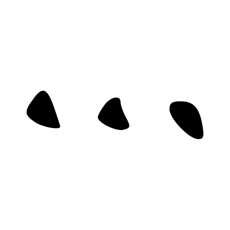 Z2 — Trois traits