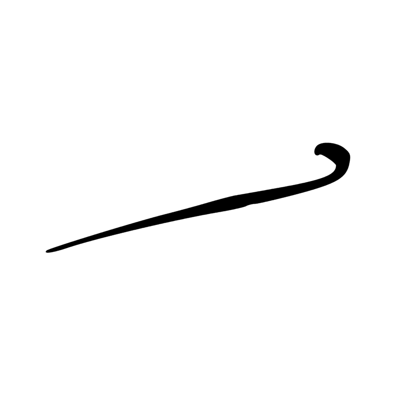 V1 — Corde lovée