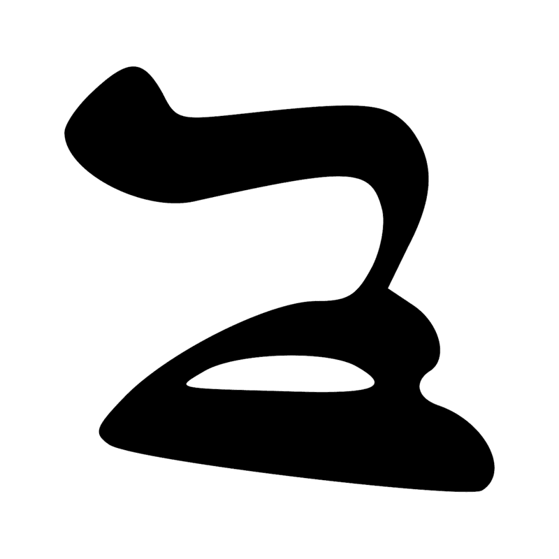 D36 X1
