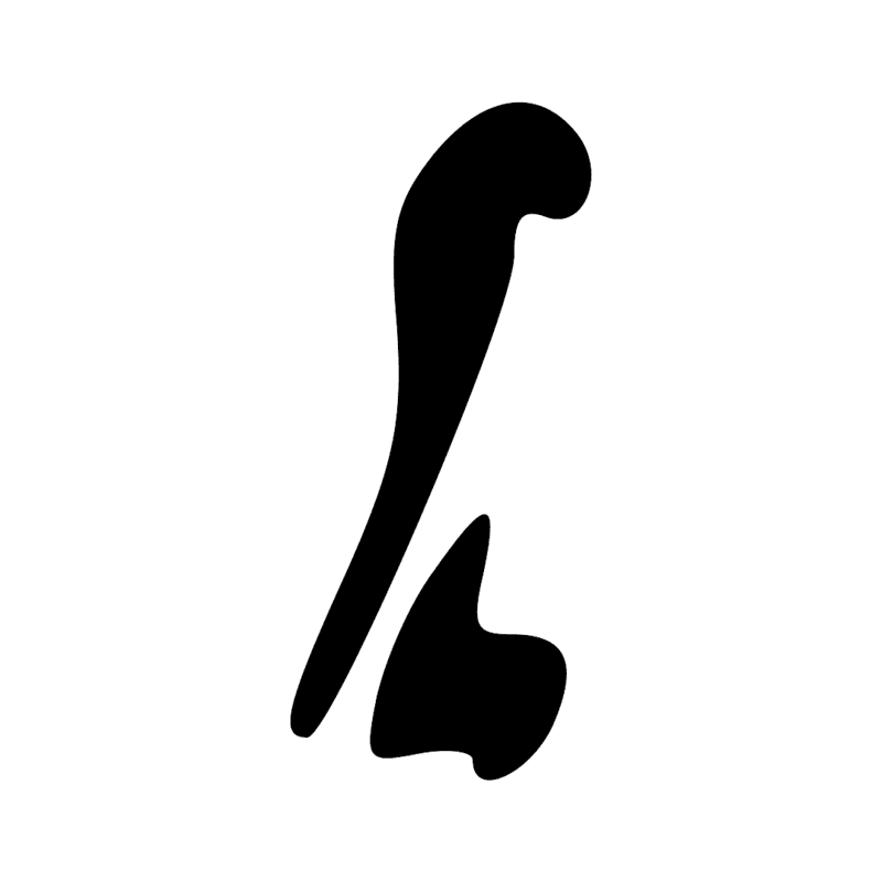 Z7 Z4