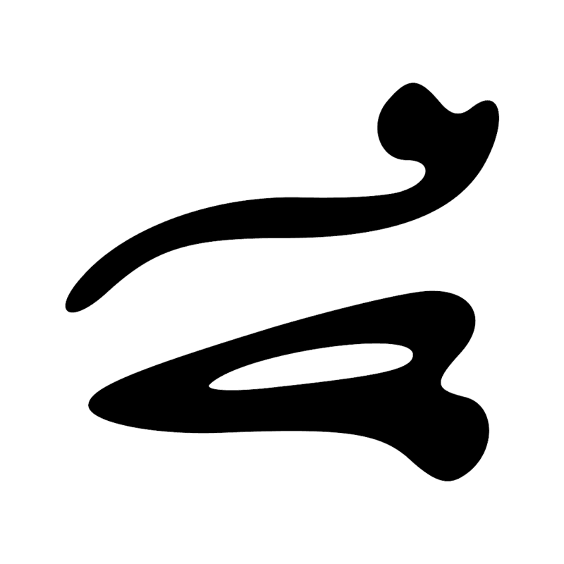 I9 D21