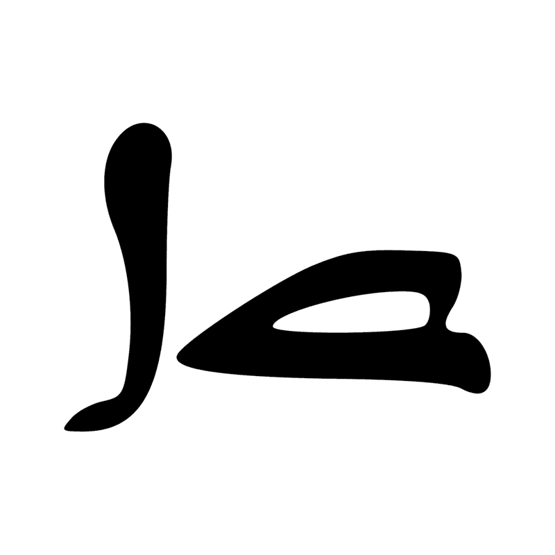 D21 Z7