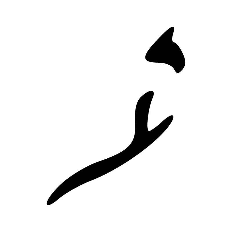 Signe n° 4985