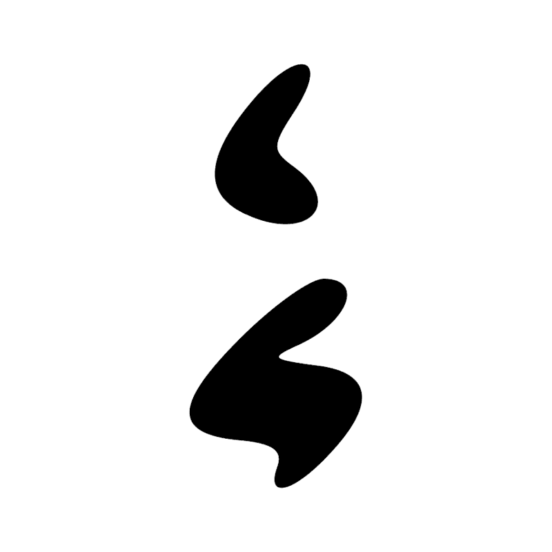 X1 D21