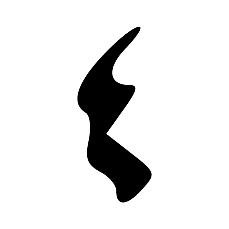 X1 D21