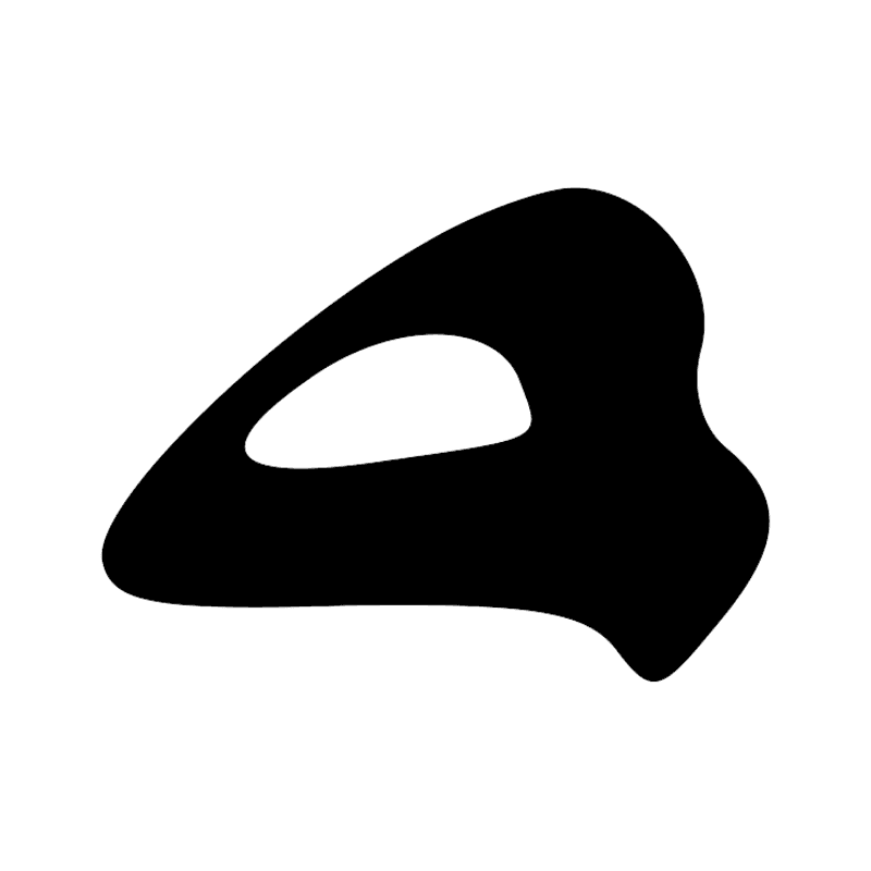 X1 D21
