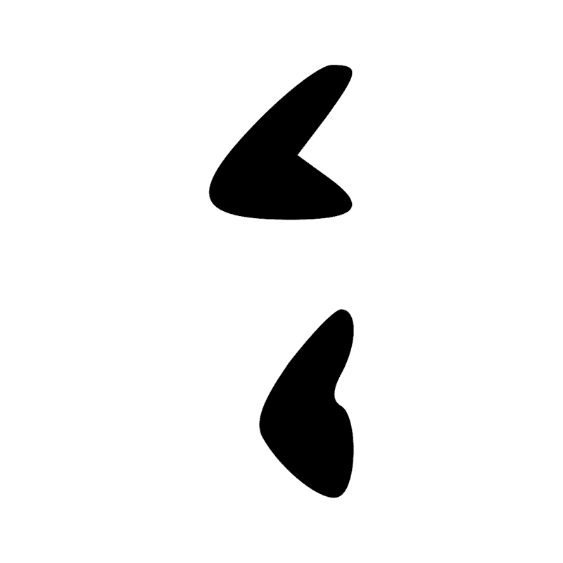 X1 X1