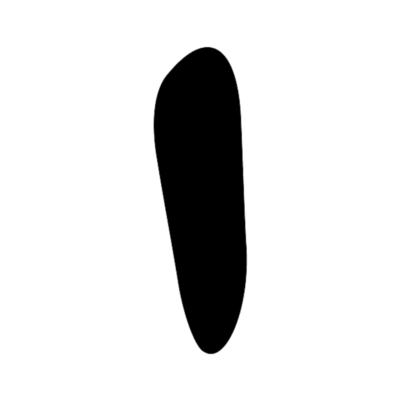 Z1 — Trait
