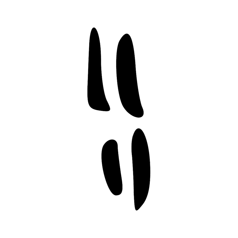 Signe n° 5460
