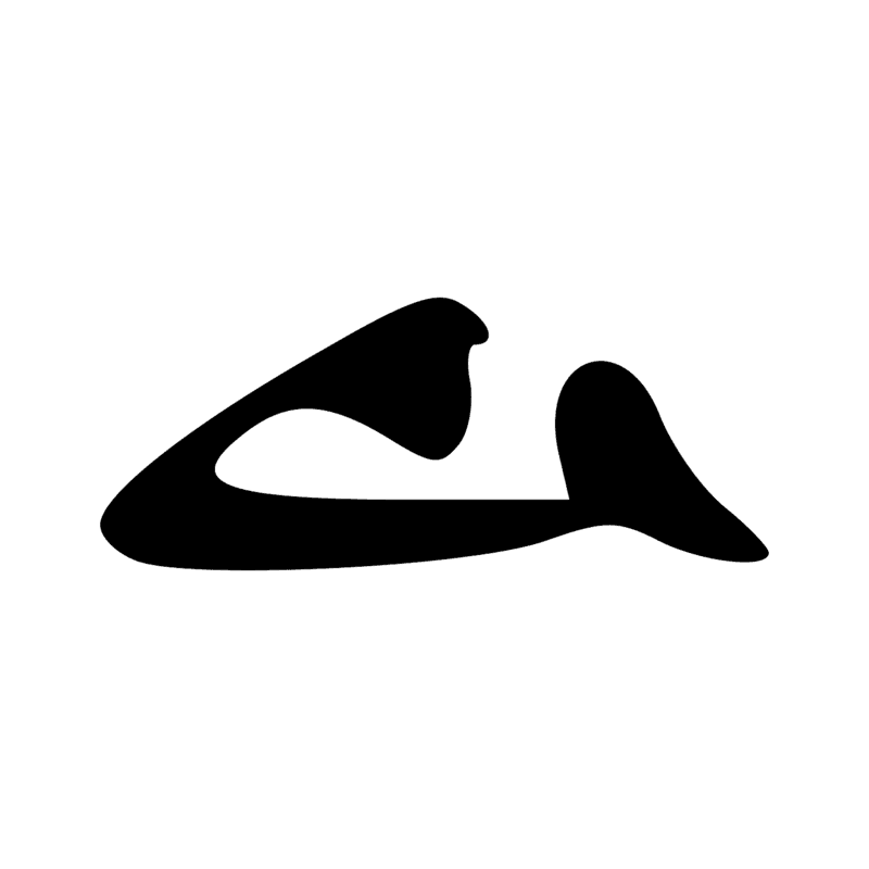 D4 — Oeil