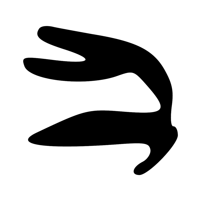 E34 — lapin, hase