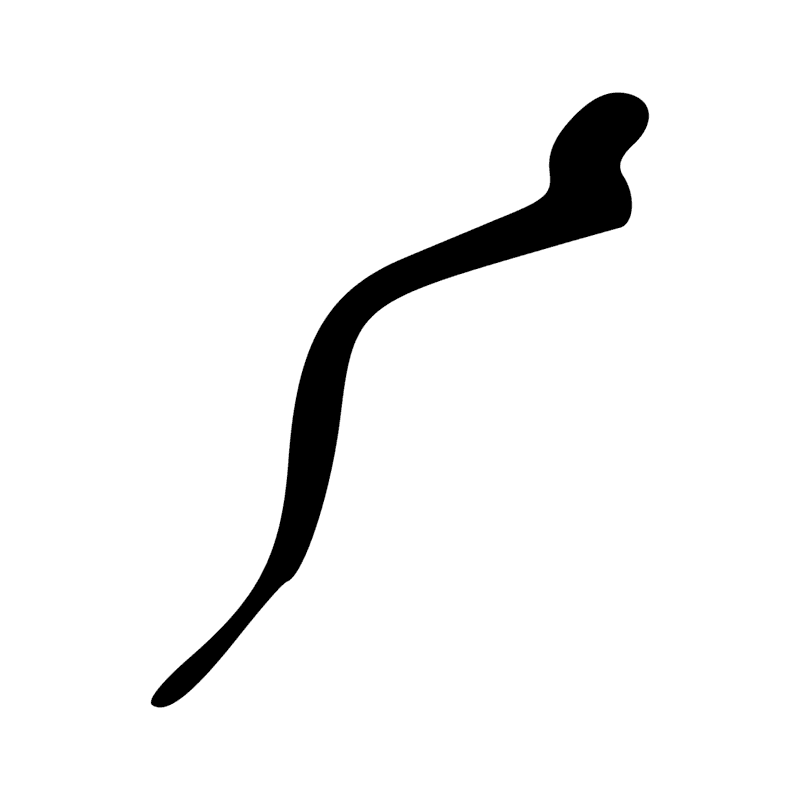 I10 — Cobra