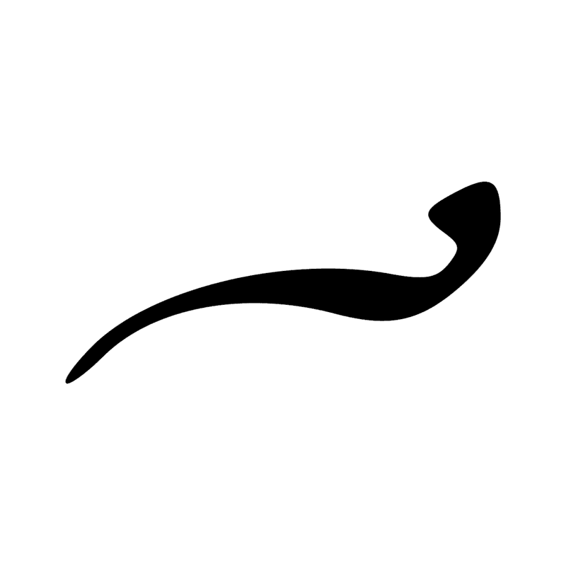 I10 — Cobra