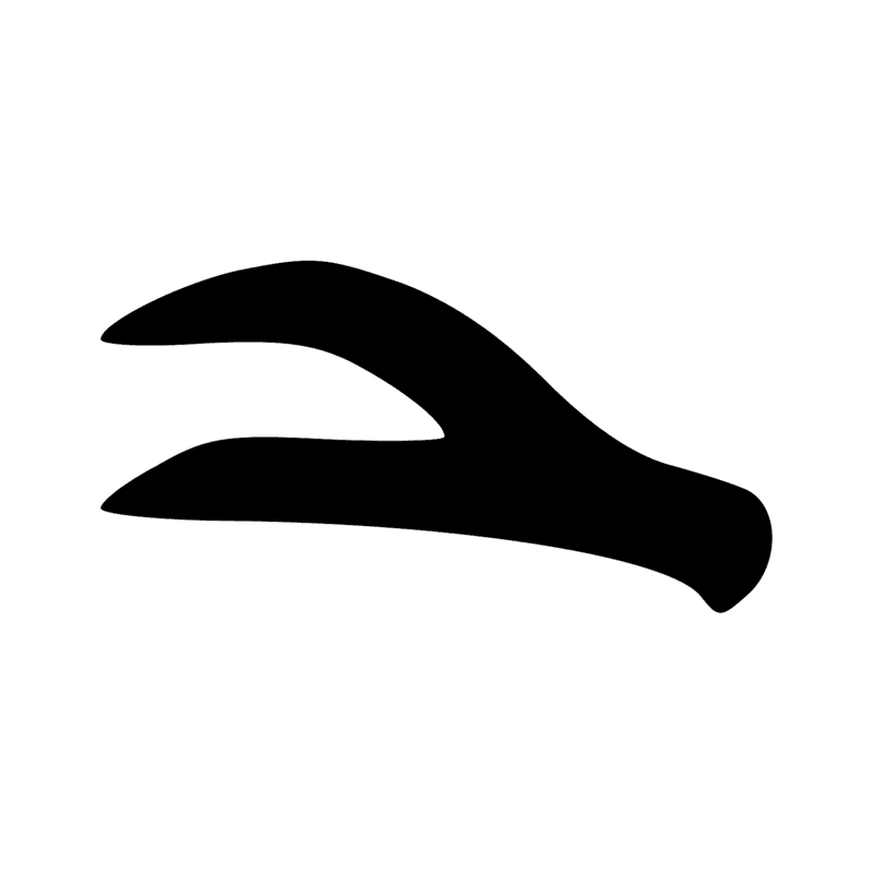 Aa13 — Côte d'animal