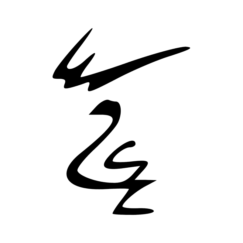 V29 — Balai de fibres
