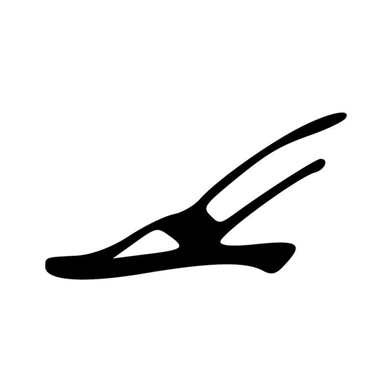 X5 — Pain long