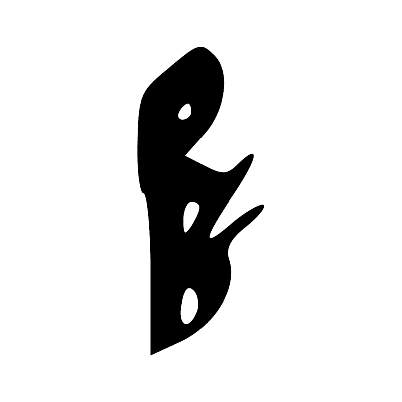 A53 — Momie dressée