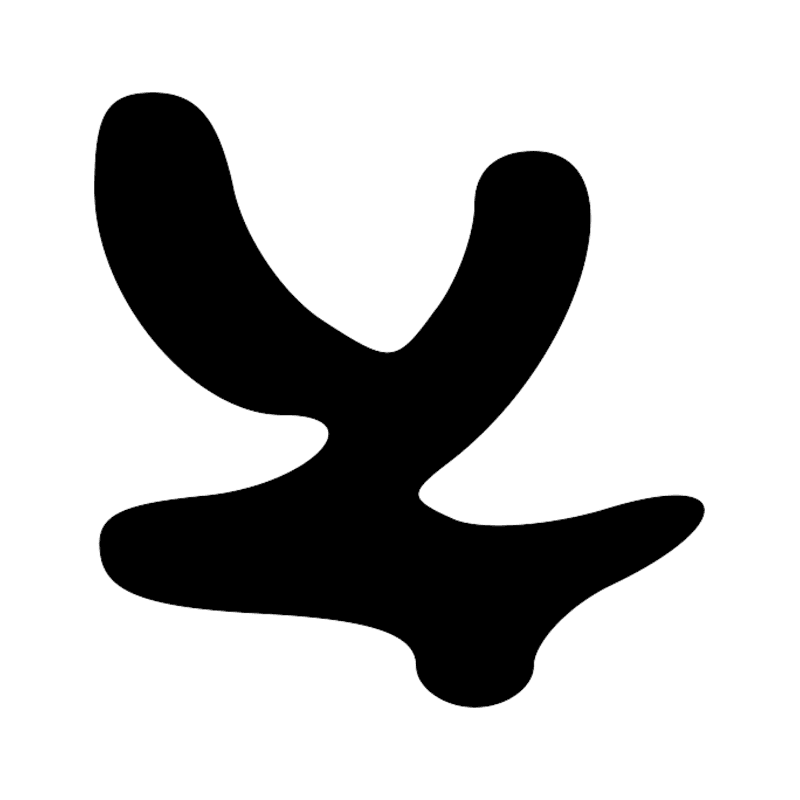 D2 — Tête de face