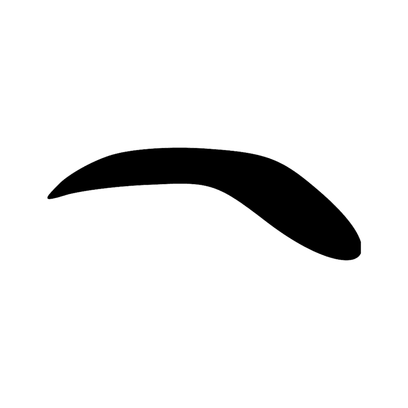 D13 — 1- Sourcil, sourcil de l'oeil Oudjat; 2- ligne courbe