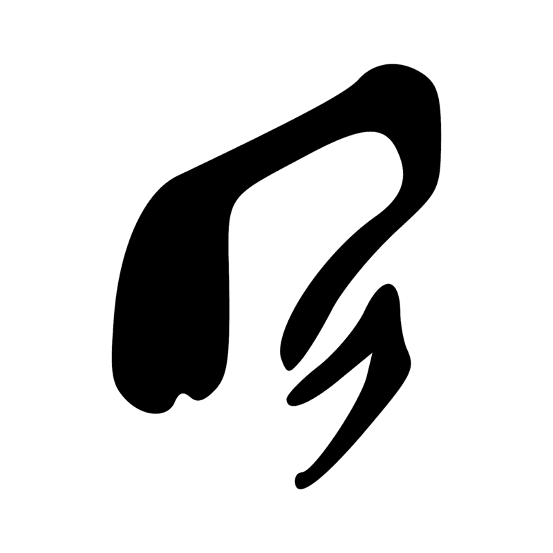 D53 — phallus émettant un liquide
