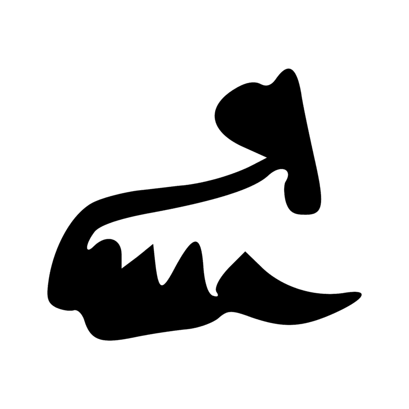 E7 — âne
