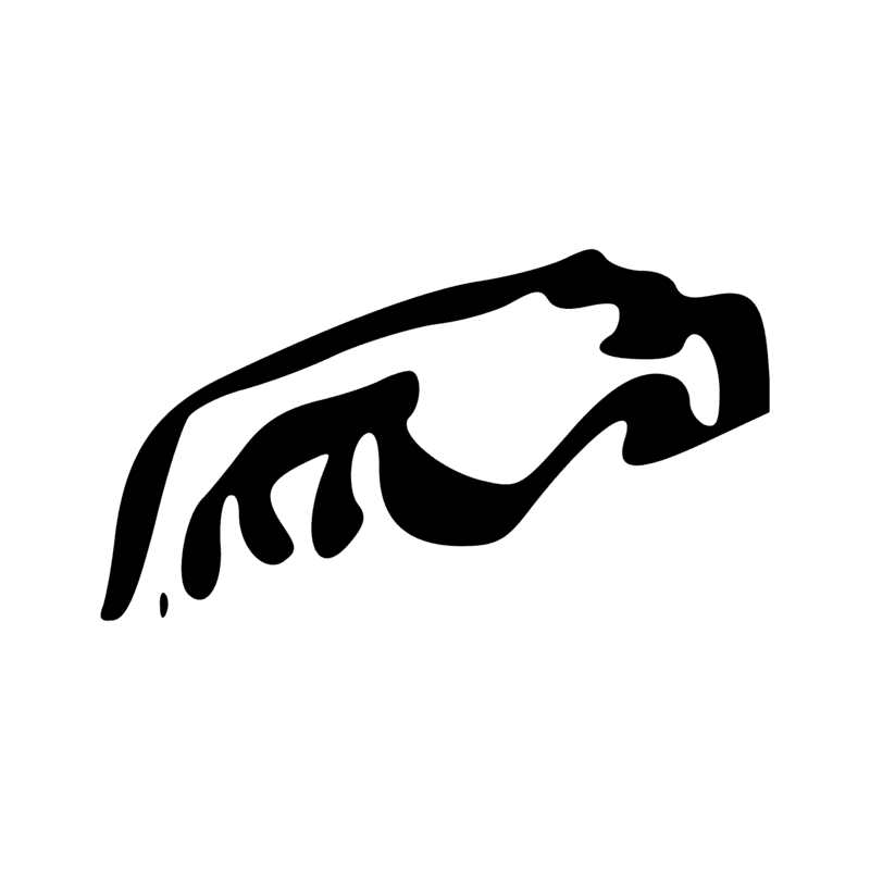 E25 — Hippopotame