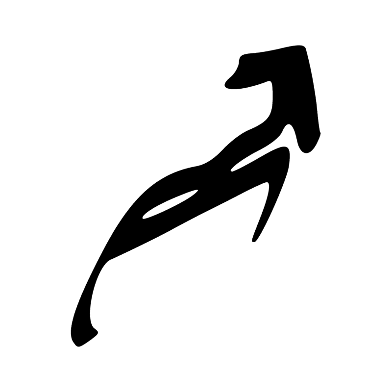 E9 — faon de bubale
