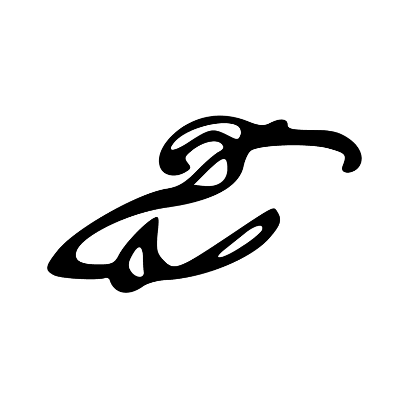G25 — Ibis à crête