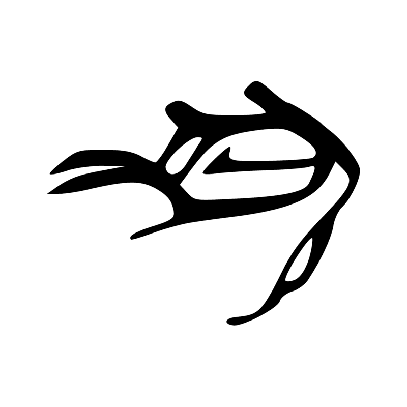 G54 — Oie troussée