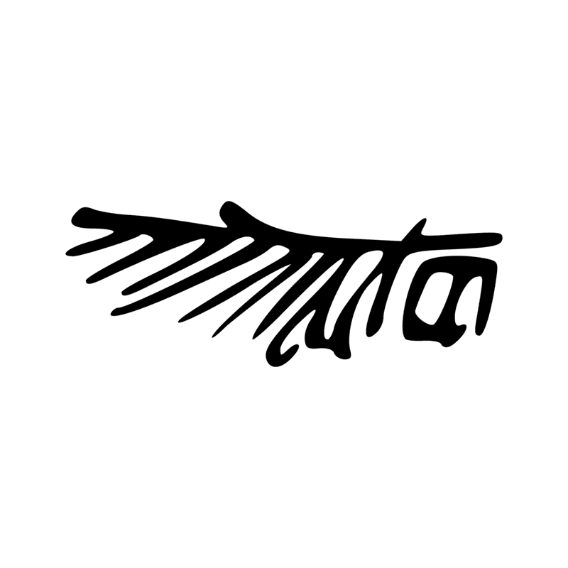 H5 — Aile