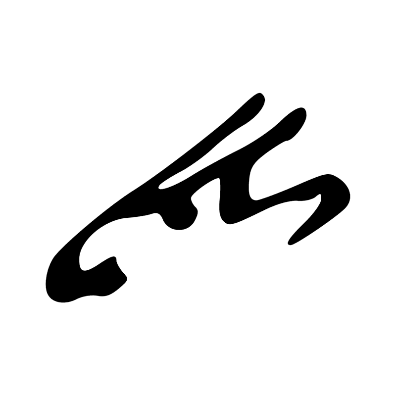 G36 — Hirondelle ou martinet