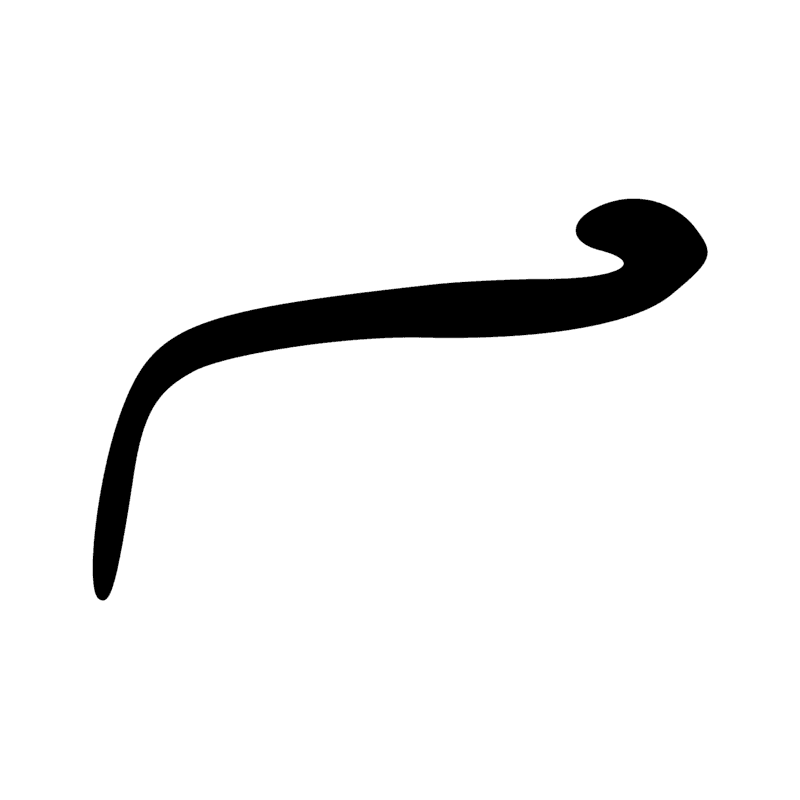 I10 — Cobra