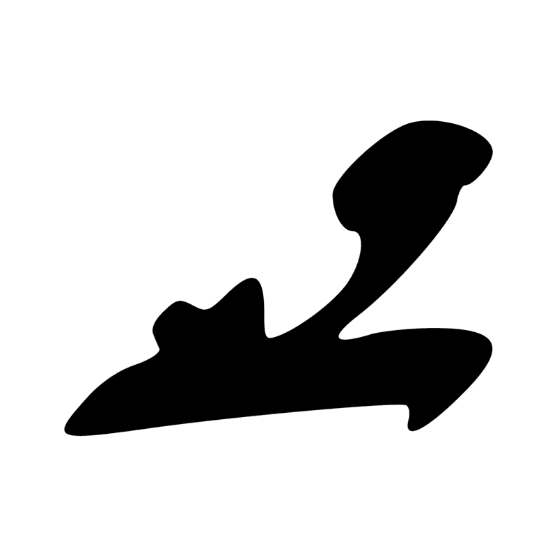 G40 — Canard pilet en vol