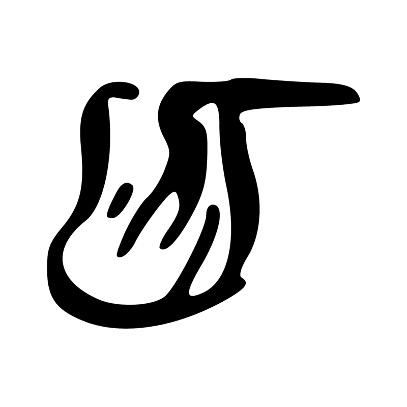 G49 — Trois canards dans un bassin