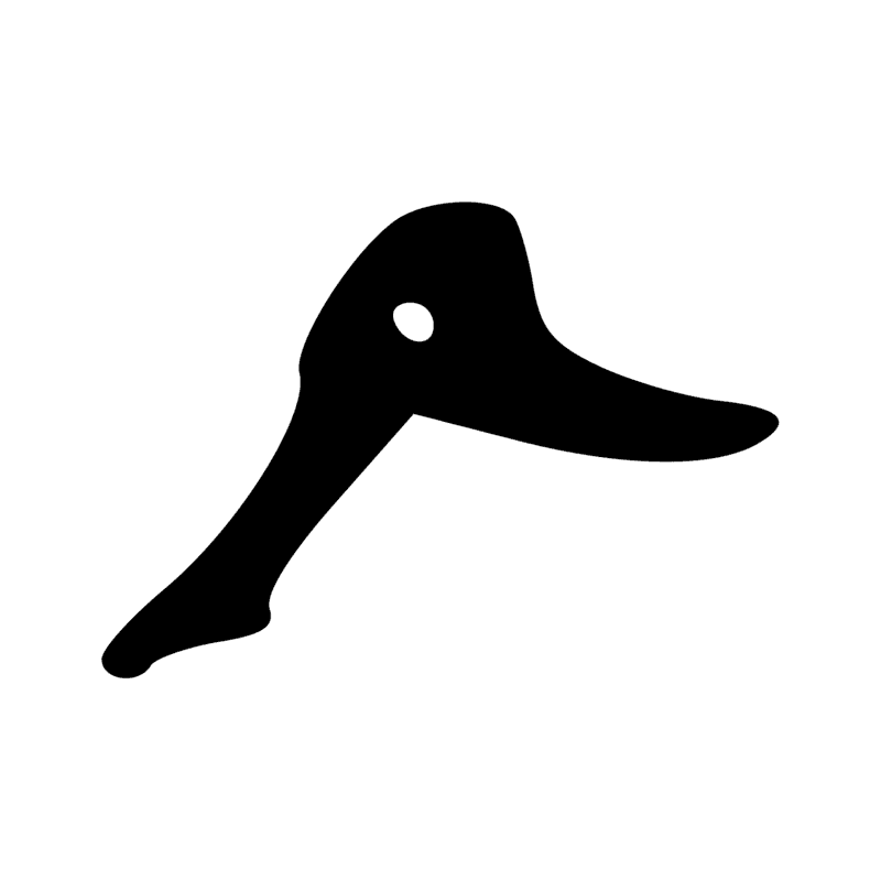 H3 — Tête de spatule