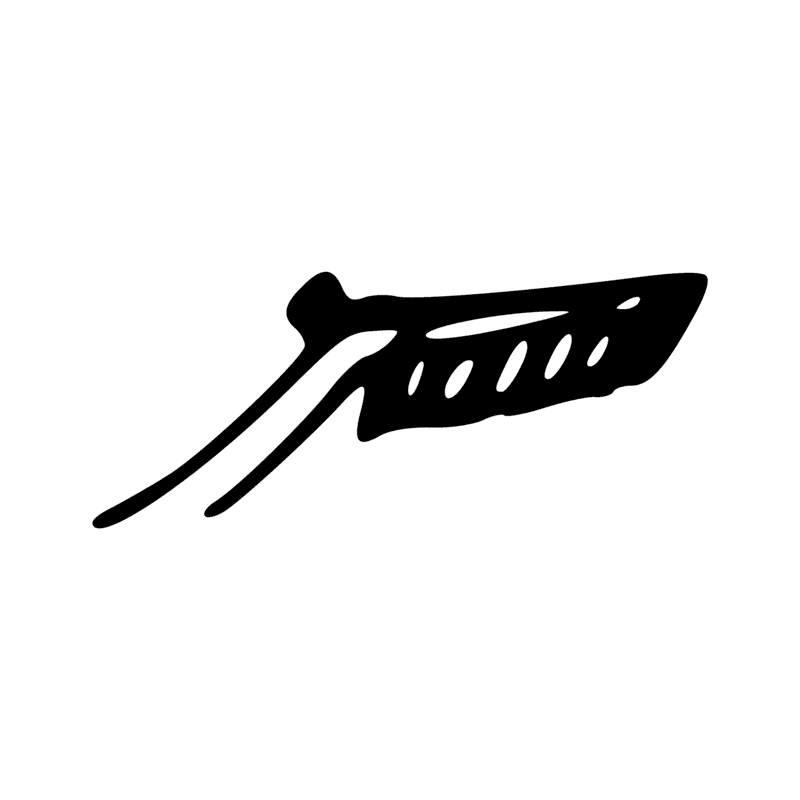 H5 — Aile