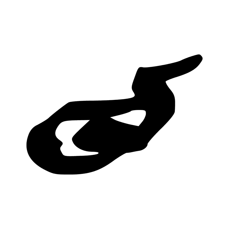 I5 — Crocodile, queue ramassée