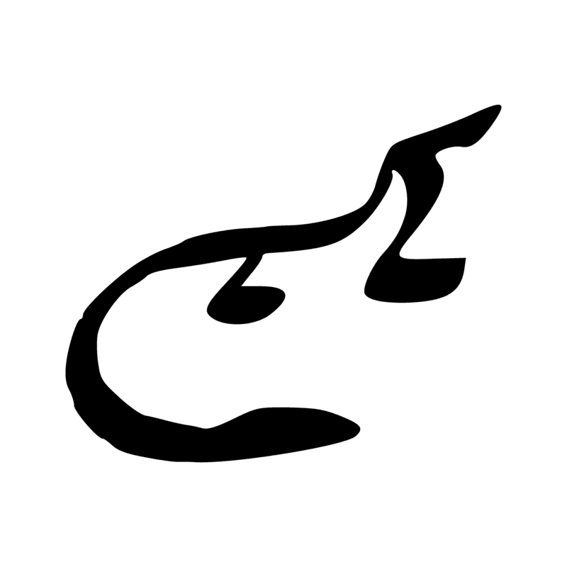 I5 — Crocodile, queue ramassée
