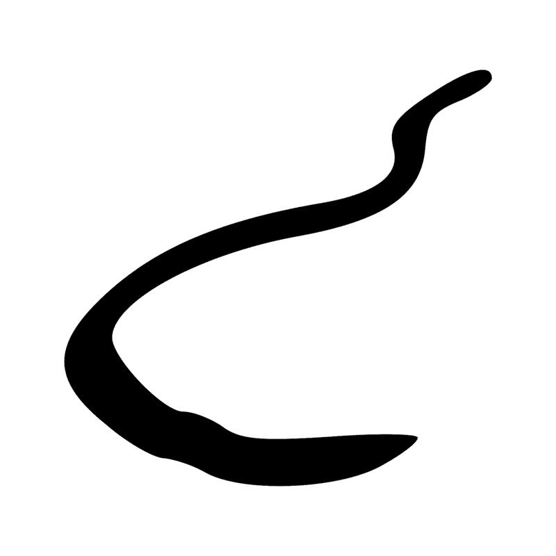 I10 — Cobra