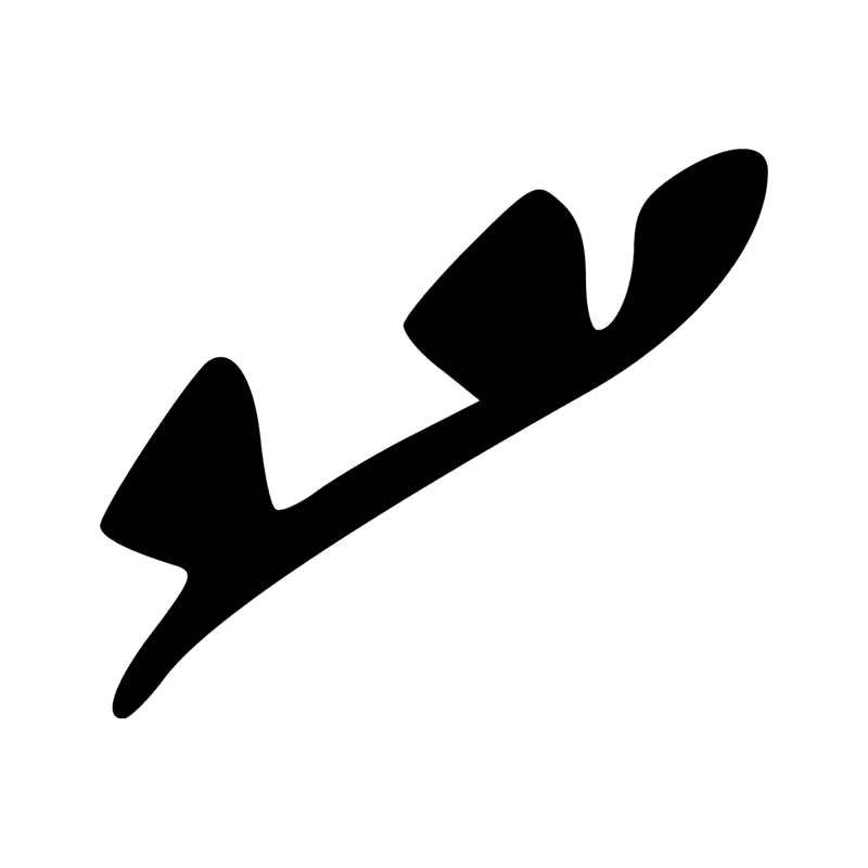K4 — Mormyre, oxyrhynque, brochtet du Nil