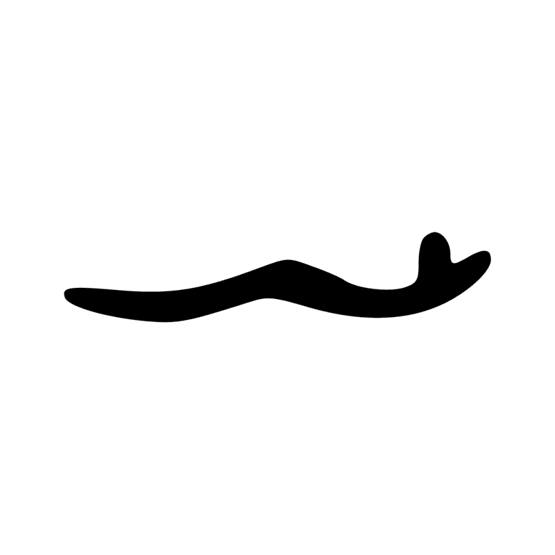 Signe n° 8193