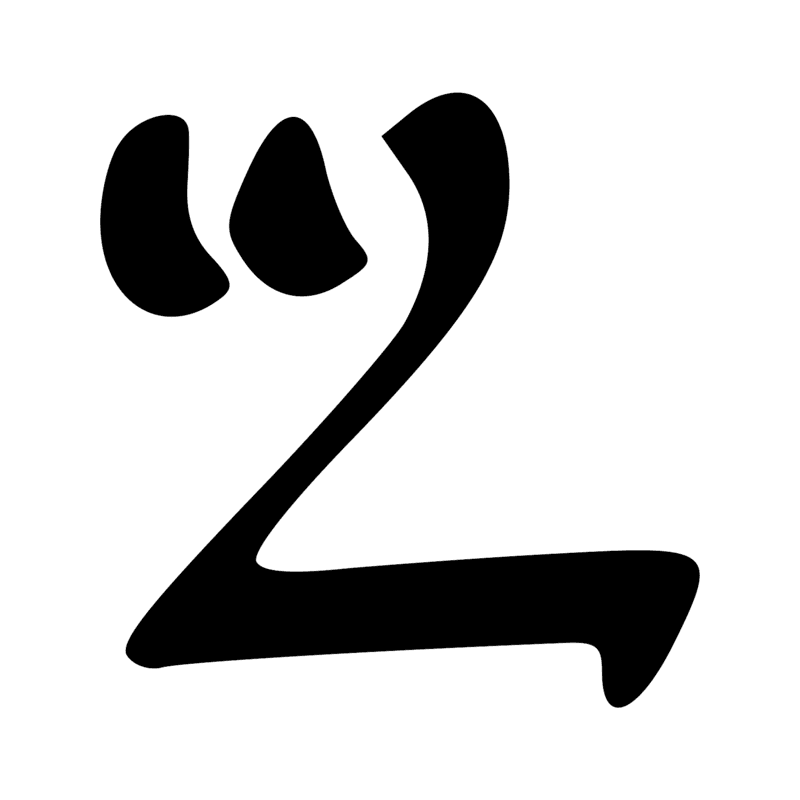 M8 — Fourré de payprus