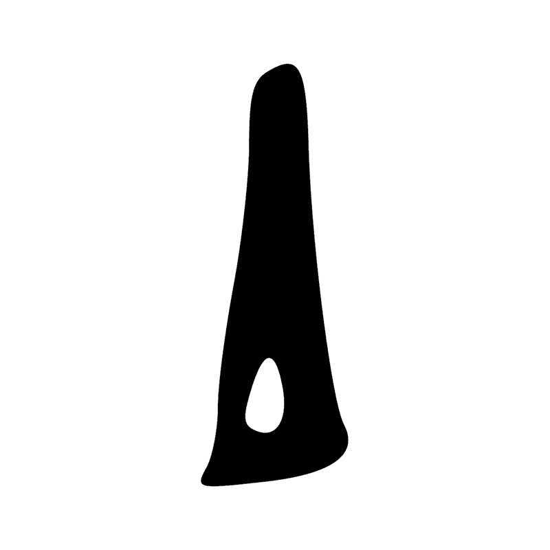 Signe n° 8529