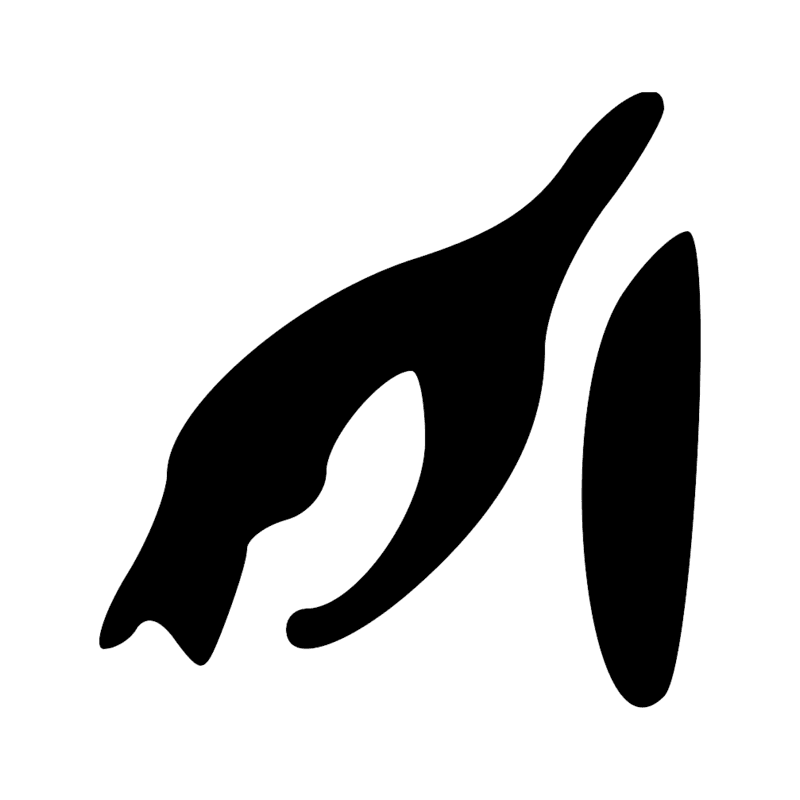 P10 — Aviron de gouverne